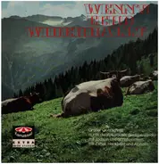 Alfons-Bauer-Quintett, Alpinia-Plattler-Gruppe, Otto Ebner - Wenn's Echo widerhallt