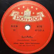 Alfons Bauer Zither-Tanzsolisten - Susi-Polka / Komm in die Berge