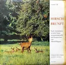 LP - Alfred Klapper - Hirschbrunft