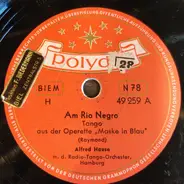 Alfred Hause - Am Rio Negro / Es Wird In Hundert Jahren Wieder So Ein Frühling Sein