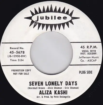 Aliza Kashi - Seven Lonely Days