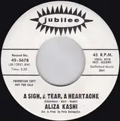 Aliza Kashi - Seven Lonely Days