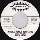 7inch Vinyl Single - Aliza Kashi - Seven Lonely Days