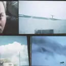 CD - alias - MUTED