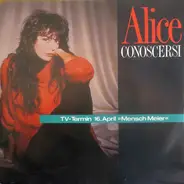 Alice - Conoscersi