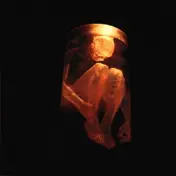 Alice in Chains - Nothing Safe: The Best Of The Box