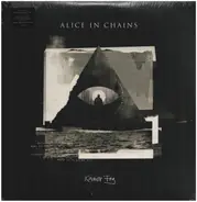 Alice In Chains - Rainier Fog