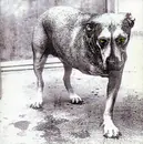 CD - Alice In Chains - Alice In Chains