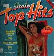 LP - Alice, Stefano Sani, Drupi - Italo Top Hits