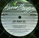 12'' - Alicia Bridges - Under The Cover Of Darkness / Not Ready Yet
