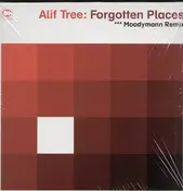 Alif Tree - FORGOTTEN PLACES (MOODYMAN MIX)