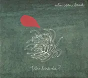 Alin Coen Band - Wer bist du?