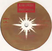12inch Vinyl Single - Alison Limerick - Where Love Lives