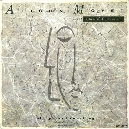 Alison Moyet With David Freeman - Sleep Like Breathing