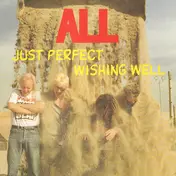 All - Just Perfect