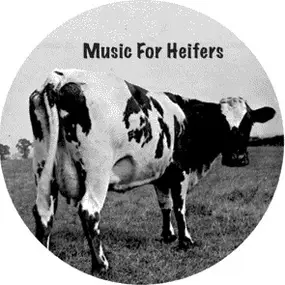 All Saints - Music For Heifers