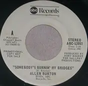 Allen Burton - Somebody's Burnin' My Bridges