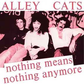 The Alley Cats - Nothing Means Anything