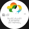 Ellen Allien & Apparat - Jet Remixes