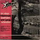 7inch Vinyl Single - Alpenland Duo Und Die Volksmusikanten / Die Mascinos Und Die King-Masters-Band - In Der Heimat Sehen Wir Uns Wieder - EP