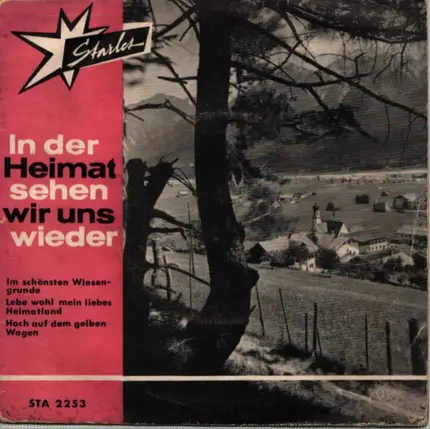 Alpenland Duo Und Die Volksmusikanten / Die Mascinos Und Die King-Masters-Band - In Der Heimat Sehen Wir Uns Wieder