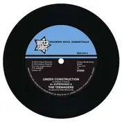 Teenagers - Under Construction/The Loser