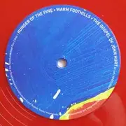 Double LP & MP3 - Alt-J - This Is All Yours - Coloured transparent Vinyls