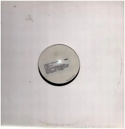 Alter Ego - Transphormer