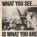 LP - Alternative TV / Here And Now - What You See... Is What You Are