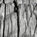 12inch Vinyl Single - Altitude - Flux EP - EP