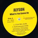 12inch Vinyl Single - Alyson - What're You Gonna Do - Promo