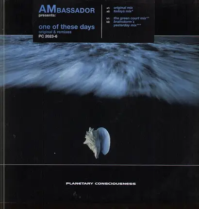Ambassador - One Of These Days