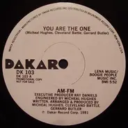 AM-FM - You Are The One