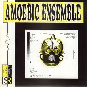 Amoebic Ensemble - Driving Music