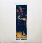 Double LP - Amon Tobin - Permutation
