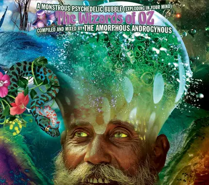 Amorphous Androgynous - A Monstrous Psychedelic Bubble / The Wizards Of Oz