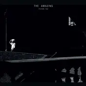 The Amazing - Picture You -Download-