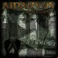 Amadeus - House of Broken Mirrors