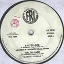 12inch Vinyl Single - Amadeus - Saltellare