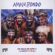 Amampondo - An Image of Africa