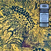 Amanda Whiting - Little Sunflower