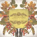 CD - Amandine - Solace In Sore Hands