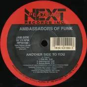 Ambassadors of Funk - Another Side To You