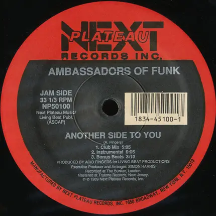 Ambassadors Of Funk - Another Side To You