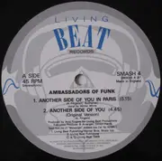 12inch Vinyl Single - Ambassadors Of Funk - Another Side Of You