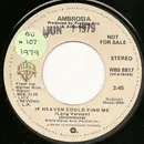 7inch Vinyl Single - Ambrosia - If Heaven Could Find Me