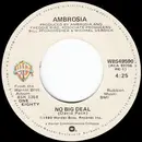 7inch Vinyl Single - Ambrosia - No Big Deal