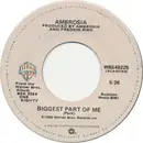 7inch Vinyl Single - Ambrosia - Biggest Part Of Me