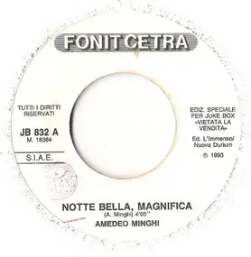Amedeo Minghi - Notte Bella, Magnifica / In Te