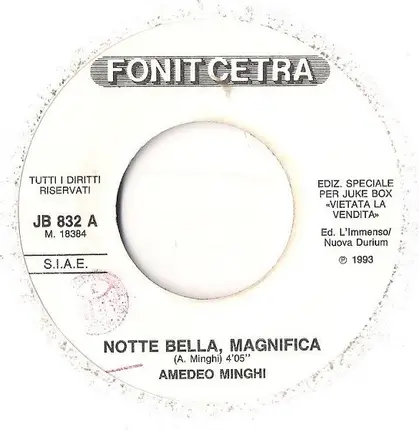Amedeo Minghi / Nek - Notte Bella, Magnifica / In Te